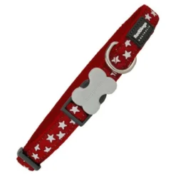 Red Dingo - Collier chien