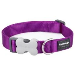 Red Dingo - Collier chien - Plain Purple