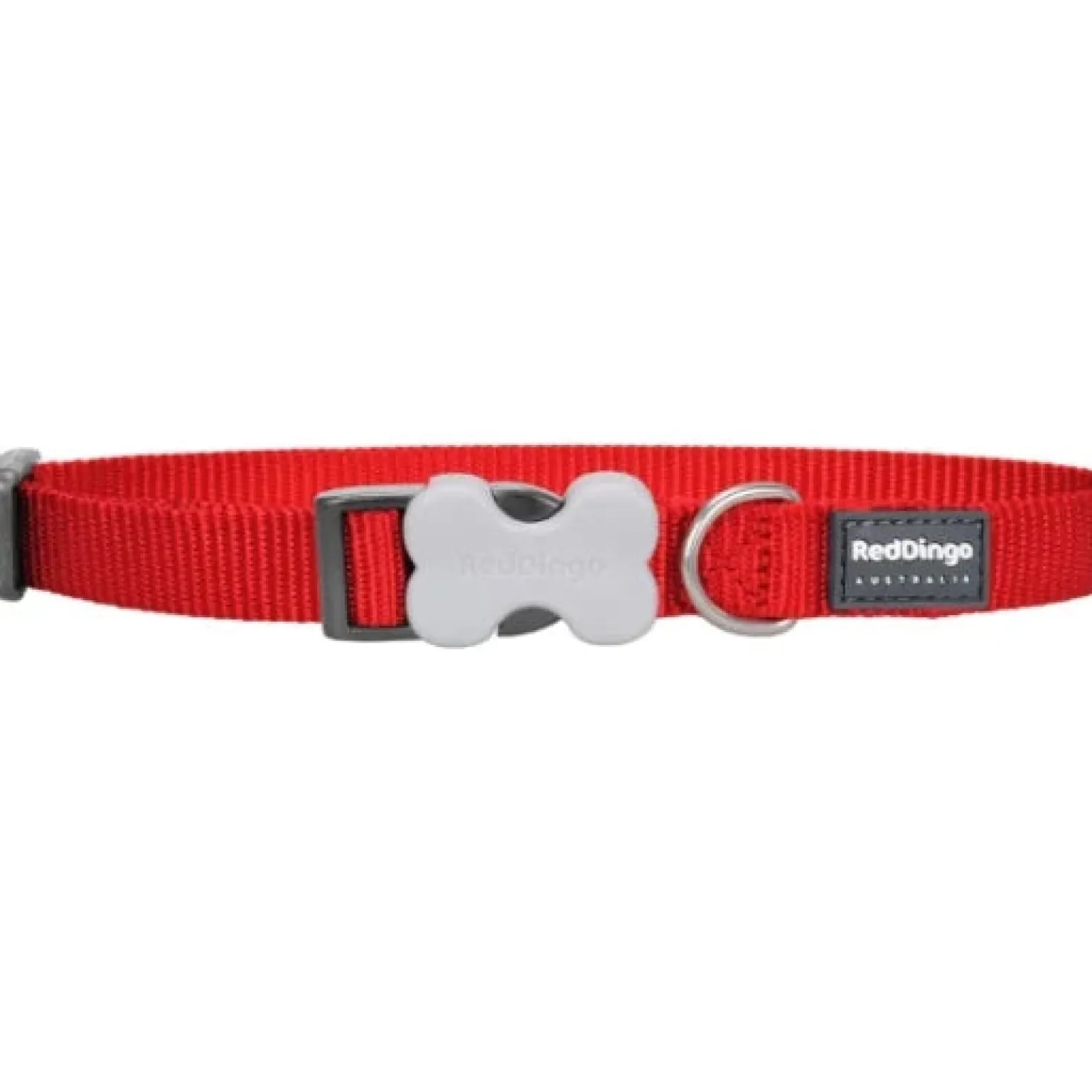 Red Dingo - Collier pour chien en nylon