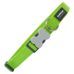 Red Dingo - Collier pour chien en nylon