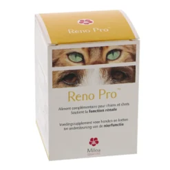 Reno Pro chat, chien