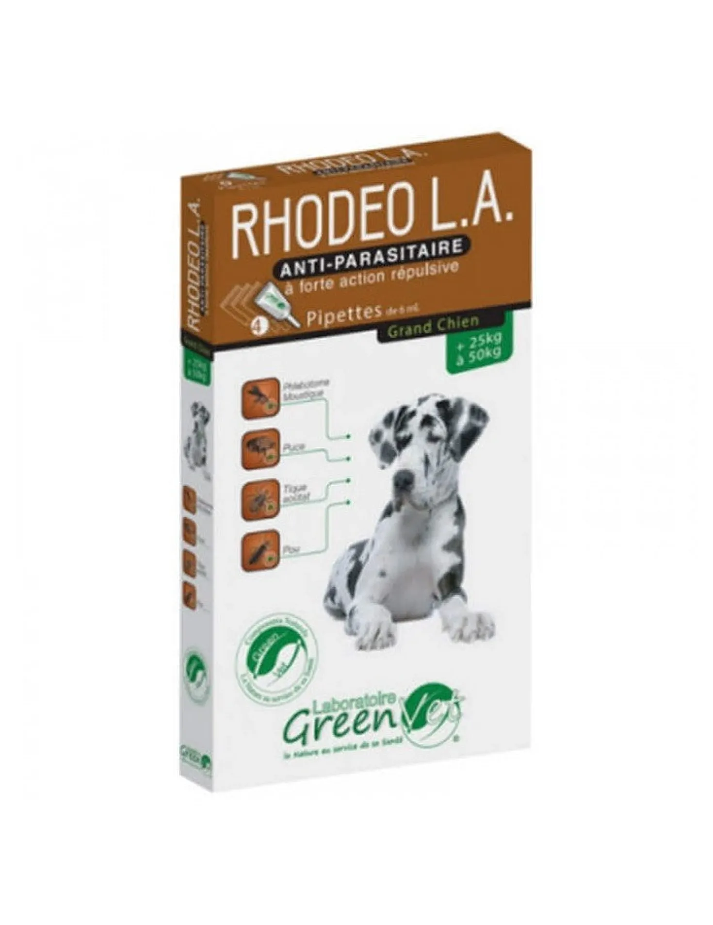 Rhodeo L.A. chien