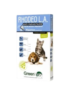 Rhodeo l.a Chiot Chaton