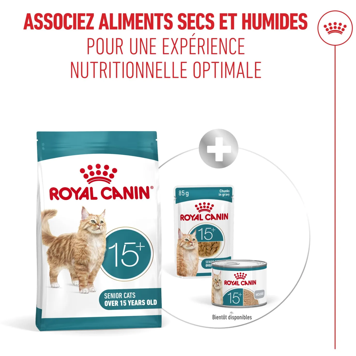 Royal Canin Ageing 15+ - Croquettes pour chat