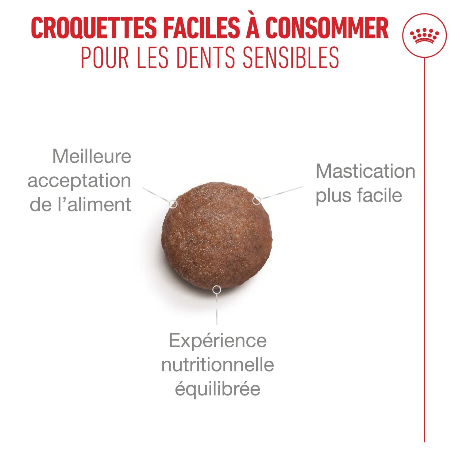 Royal Canin Ageing 15+ - Croquettes pour chat