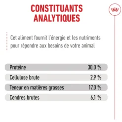 Royal Canin Ageing 11+ - croquettes chat