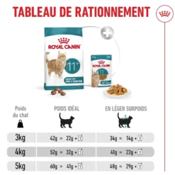 Royal Canin Ageing 11+ - croquettes chat