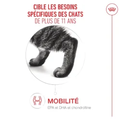 Royal Canin Ageing 11+ - croquettes chat