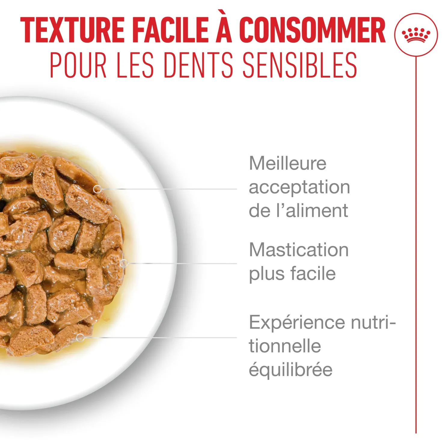 Royal Canin Ageing 15+ - pâtée chat