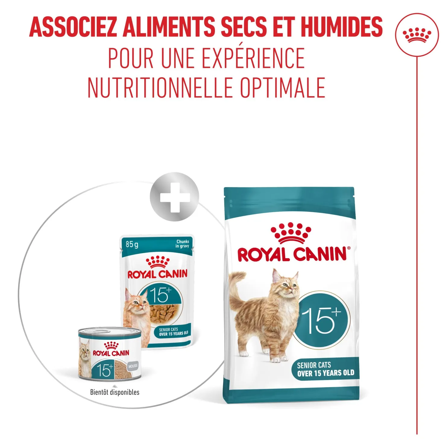 Royal Canin Ageing 15+ - pâtée chat