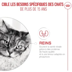 Royal Canin Ageing 15+ - pâtée chat