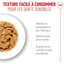 Royal Canin Ageing 11+ - pâtée chat