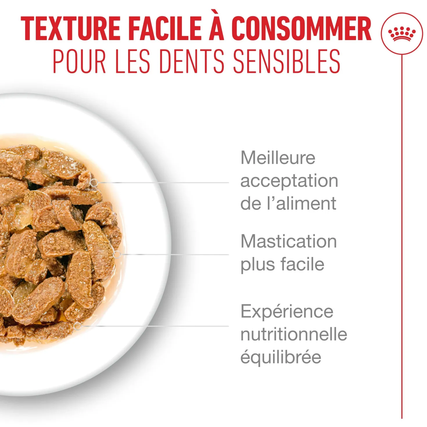 Royal Canin Ageing 11+ - pâtée chat