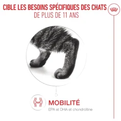 Royal Canin Ageing 11+ - pâtée chat