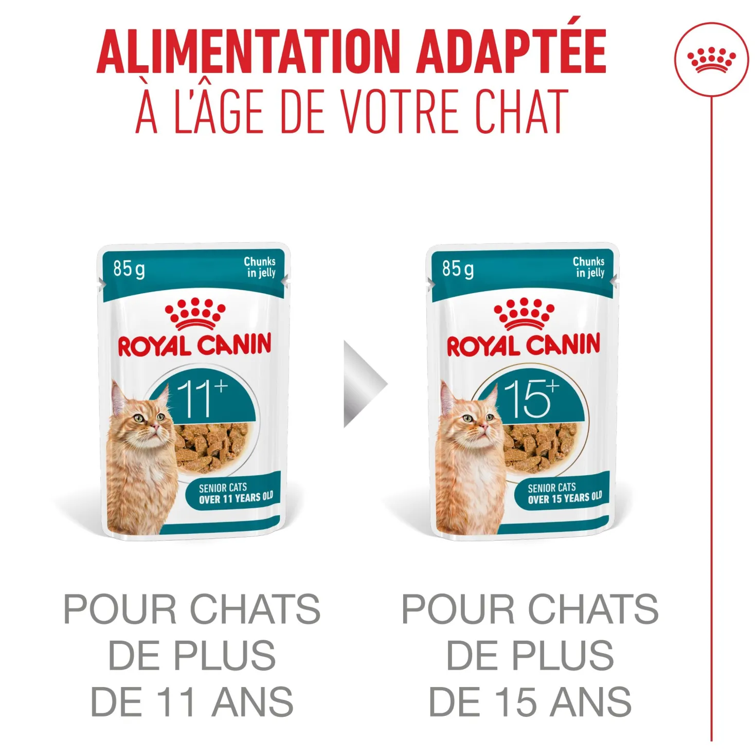 Royal Canin Ageing 11+ - pâtée chat