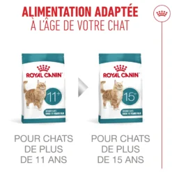 Royal Canin Ageing Sterilised 11+ chat senior