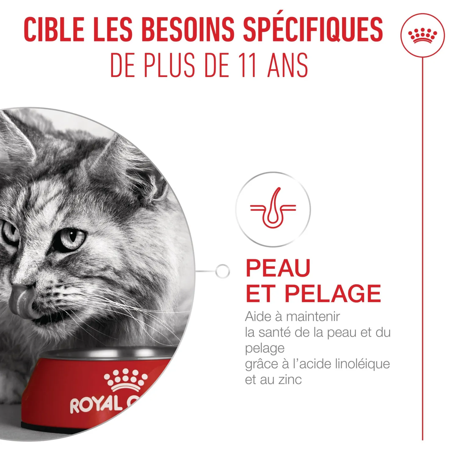 Royal Canin Ageing Sterilised 11+ chat senior