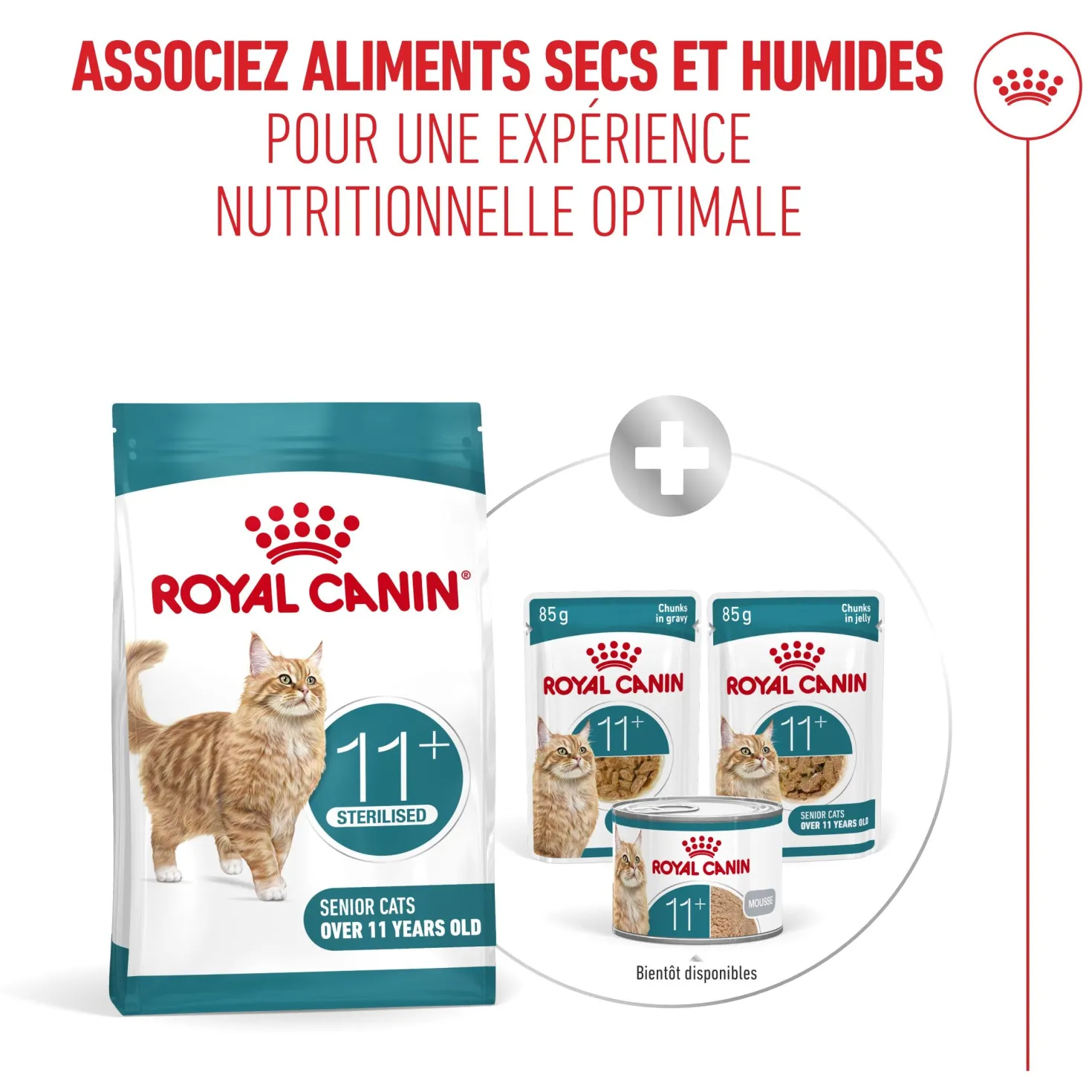 Royal Canin Ageing Sterilised 11+ chat senior