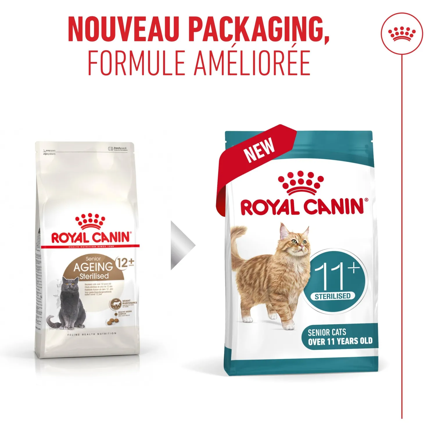 Royal Canin Ageing Sterilised 11+ chat senior