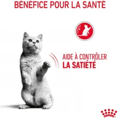 Royal Canin Appetite Control Care - croquettes chat