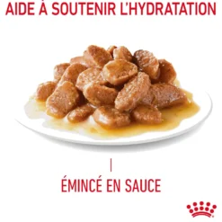 ROYAL CANIN Appetite Control Care en Sauce – Pâtée pour chat