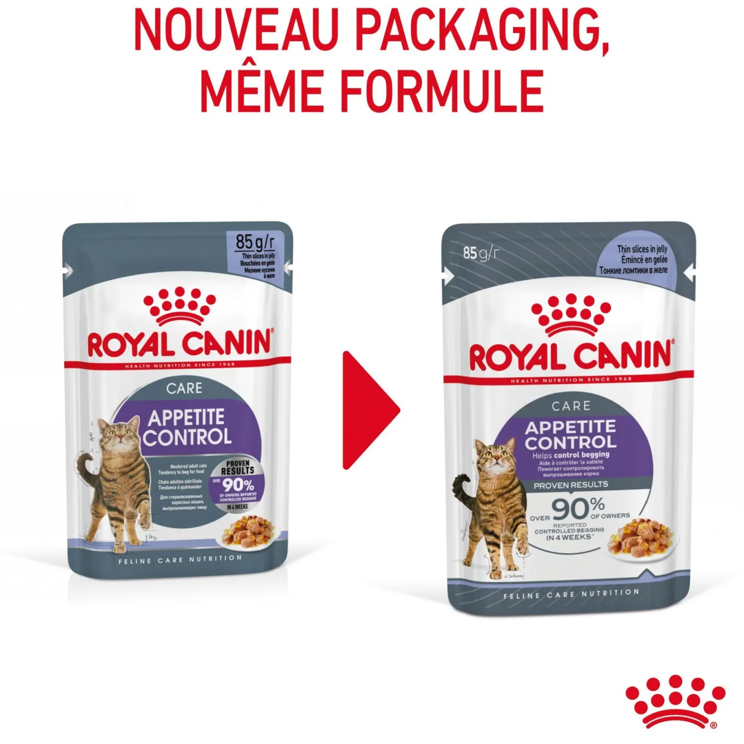 ROYAL CANIN Appetite Control en Gelée – Pâtée pour chat