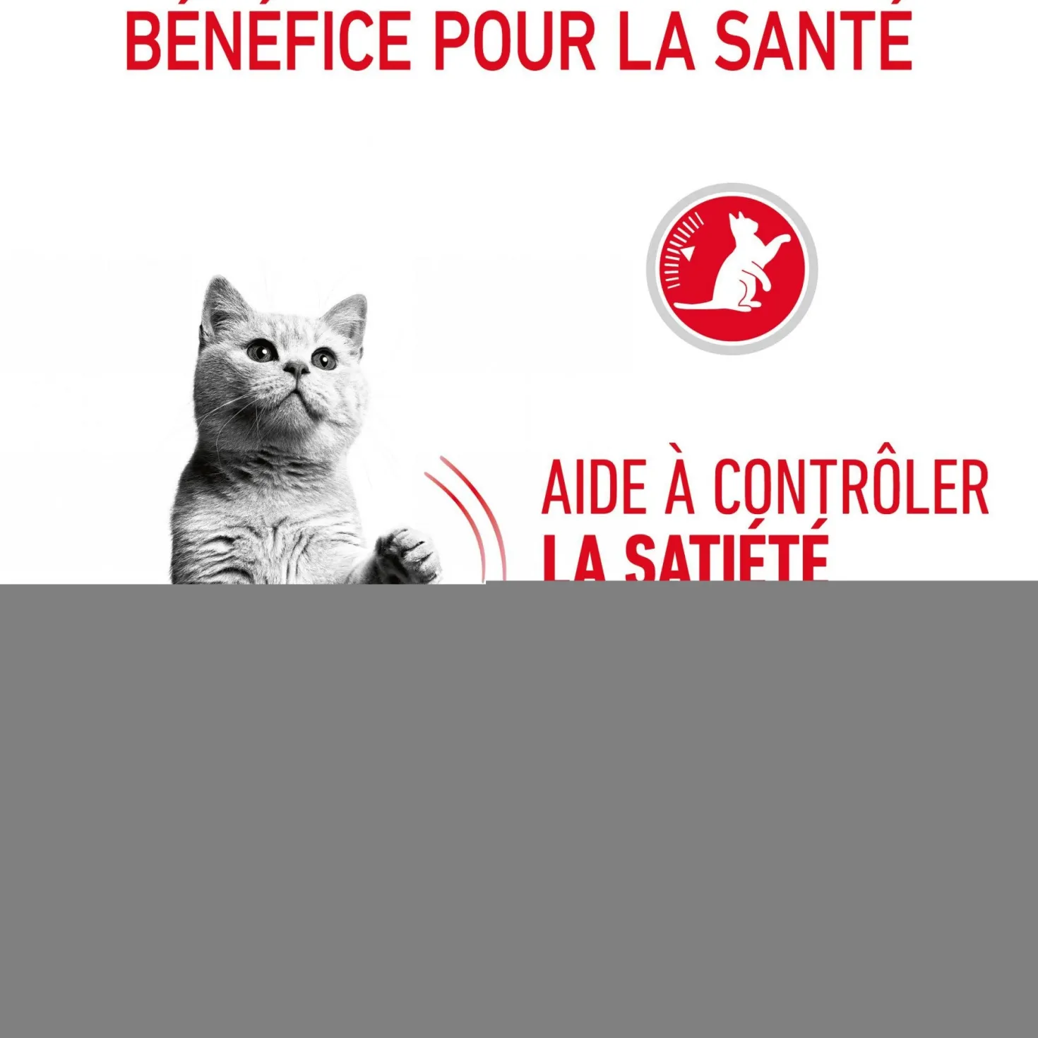ROYAL CANIN Appetite Control en Gelée – Pâtée pour chat