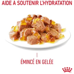 ROYAL CANIN Appetite Control en Gelée – Pâtée pour chat