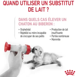 Royal Canin Babycat Milk - lait maternisé chaton
