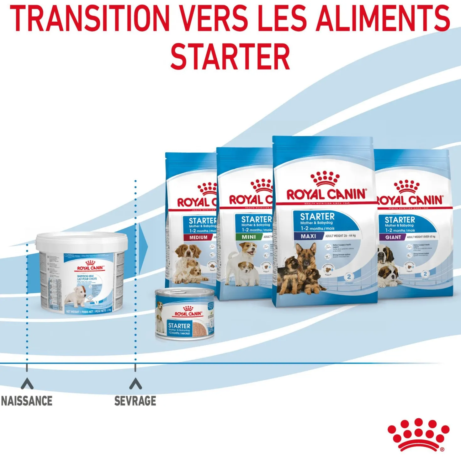 Royal Canin Babydog Milk - lait maternisé pour chiot