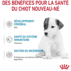 Royal Canin Babydog Milk - lait maternisé pour chiot