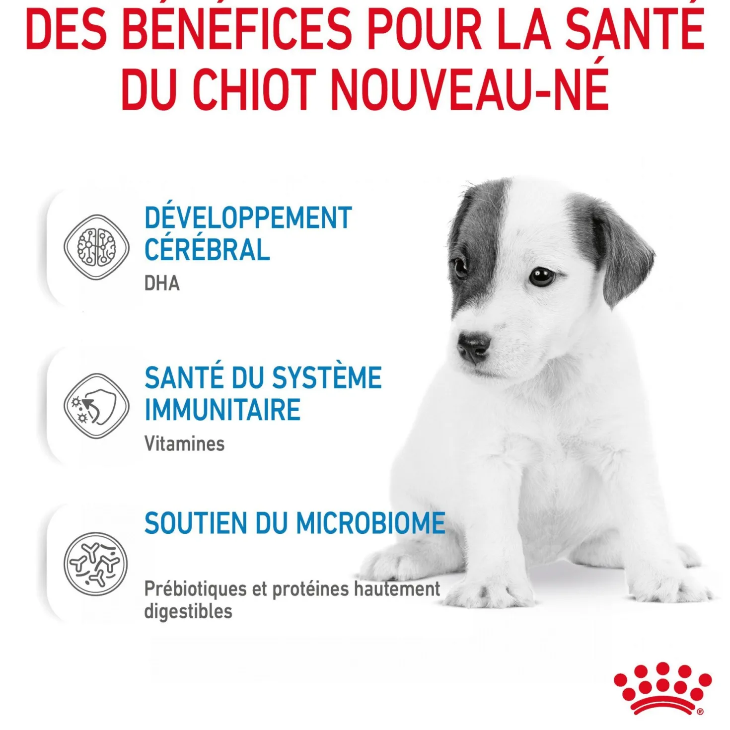 Royal Canin Babydog Milk - lait maternisé pour chiot