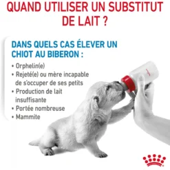 Royal Canin Babydog Milk - lait maternisé pour chiot