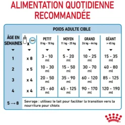 Royal Canin Babydog Milk - lait maternisé pour chiot