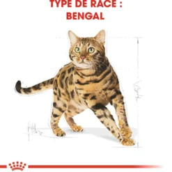 Royal Canin Bengal Adult - croquettes chat