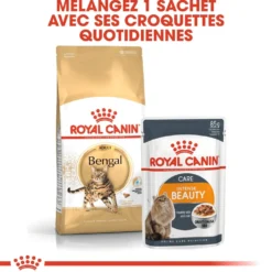 Royal Canin Bengal Adult - croquettes chat