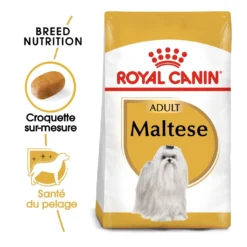 Royal Canin Bichon Maltais Adult - croquettes chien