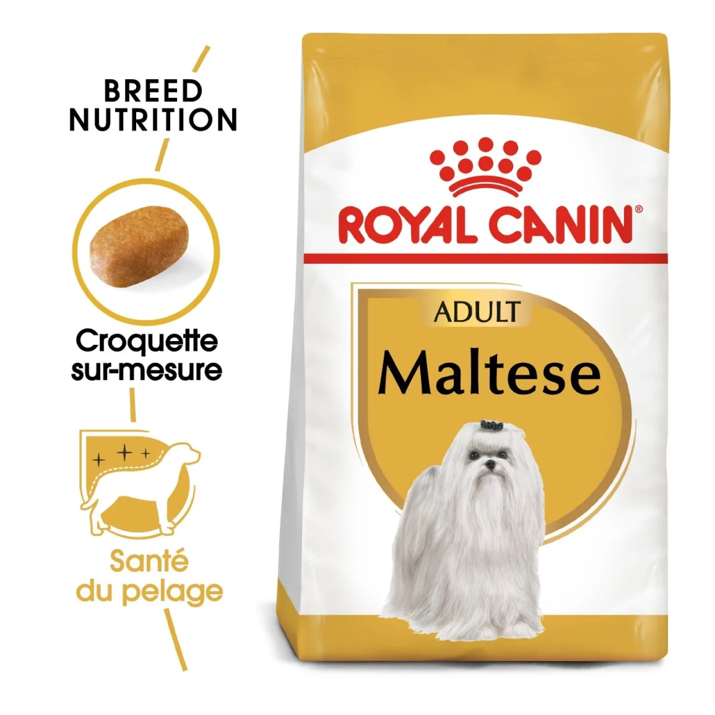 Royal Canin Bichon Maltais Adult - croquettes chien