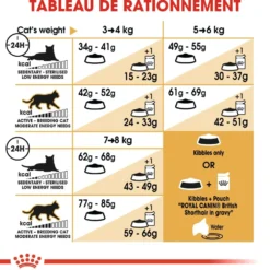 Royal Canin British Shorthair Adult - croquettes chat