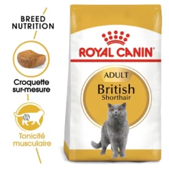 Royal Canin British Shorthair Adult - croquettes chat