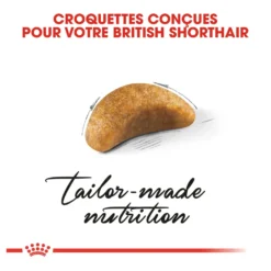 Royal Canin British Shorthair Kitten - croquettes chaton