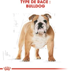 Royal Canin Bulldog Adult (Bulldog Anglais) - croquettes chien