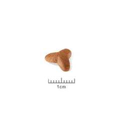 Royal Canin Carlin Puppy Carlin - croquettes chiot