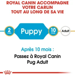 Royal Canin Carlin Puppy Carlin - croquettes chiot