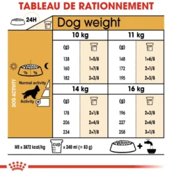 Royal Canin Cocker Adult - croquettes chien