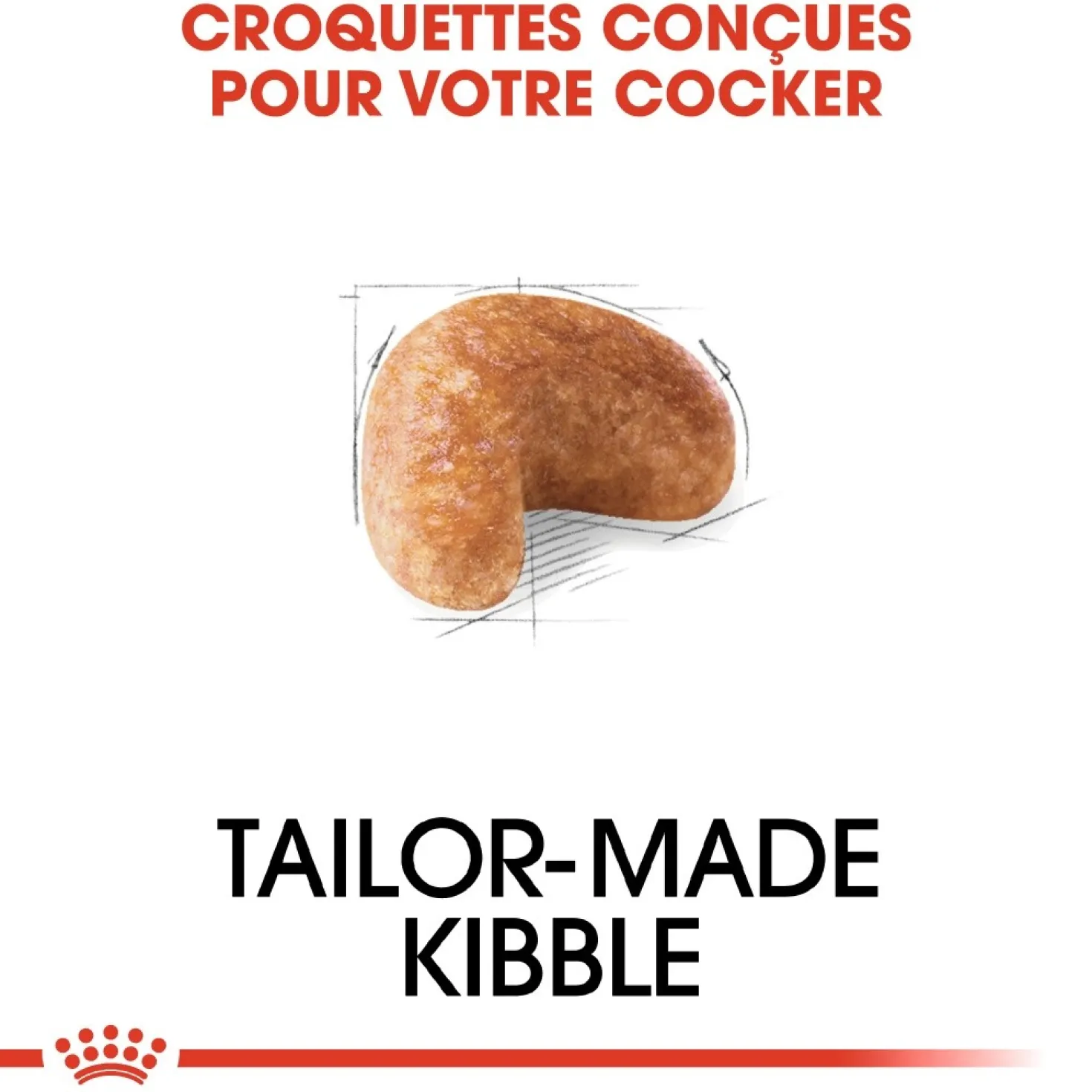 Royal Canin Cocker Adult - croquettes chien