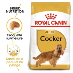 Royal Canin Cocker Adult - croquettes chien