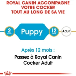 Royal Canin Cocker Puppy