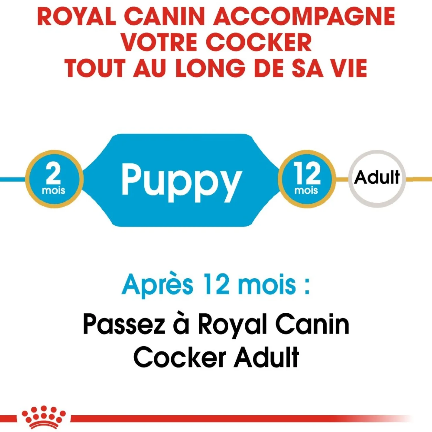 Royal Canin Cocker Puppy