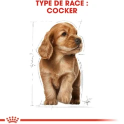 Royal Canin Cocker Puppy